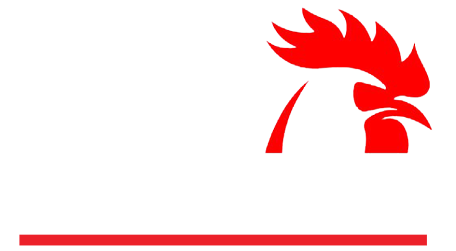 แทงไก่ชน