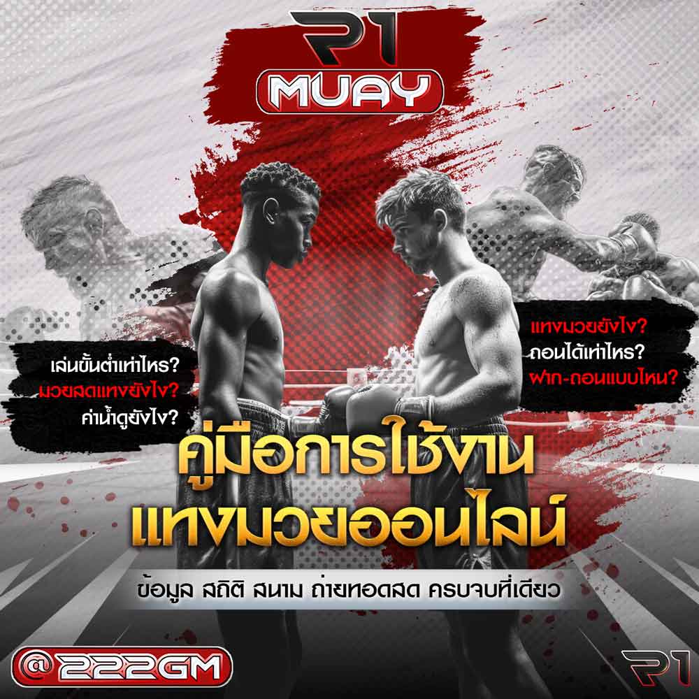 คู่มือการใช้งานแทงมวย
