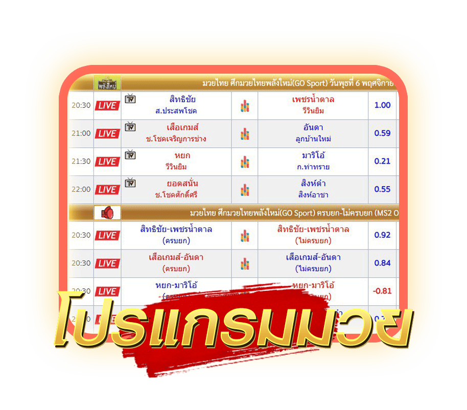 โปรแกรมมวย