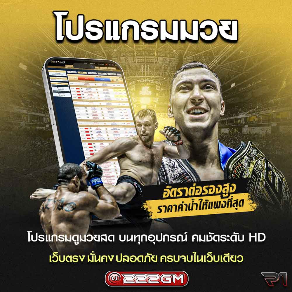 โปรแกรมมวย