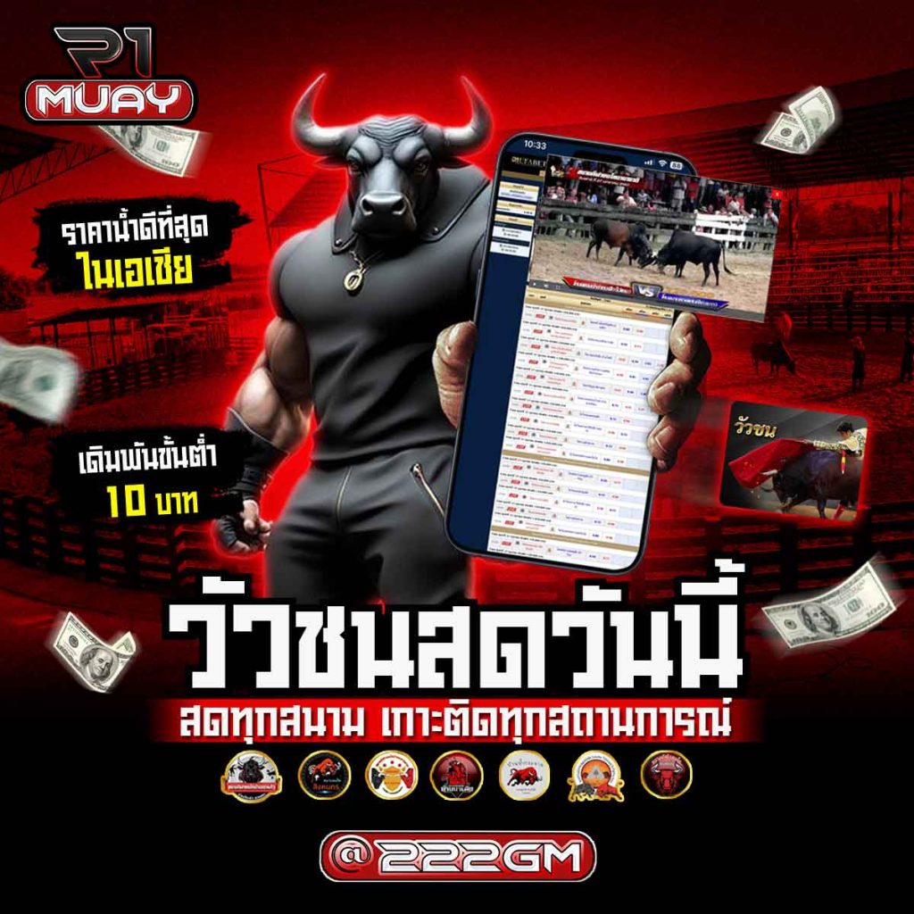 แทงวัวชน