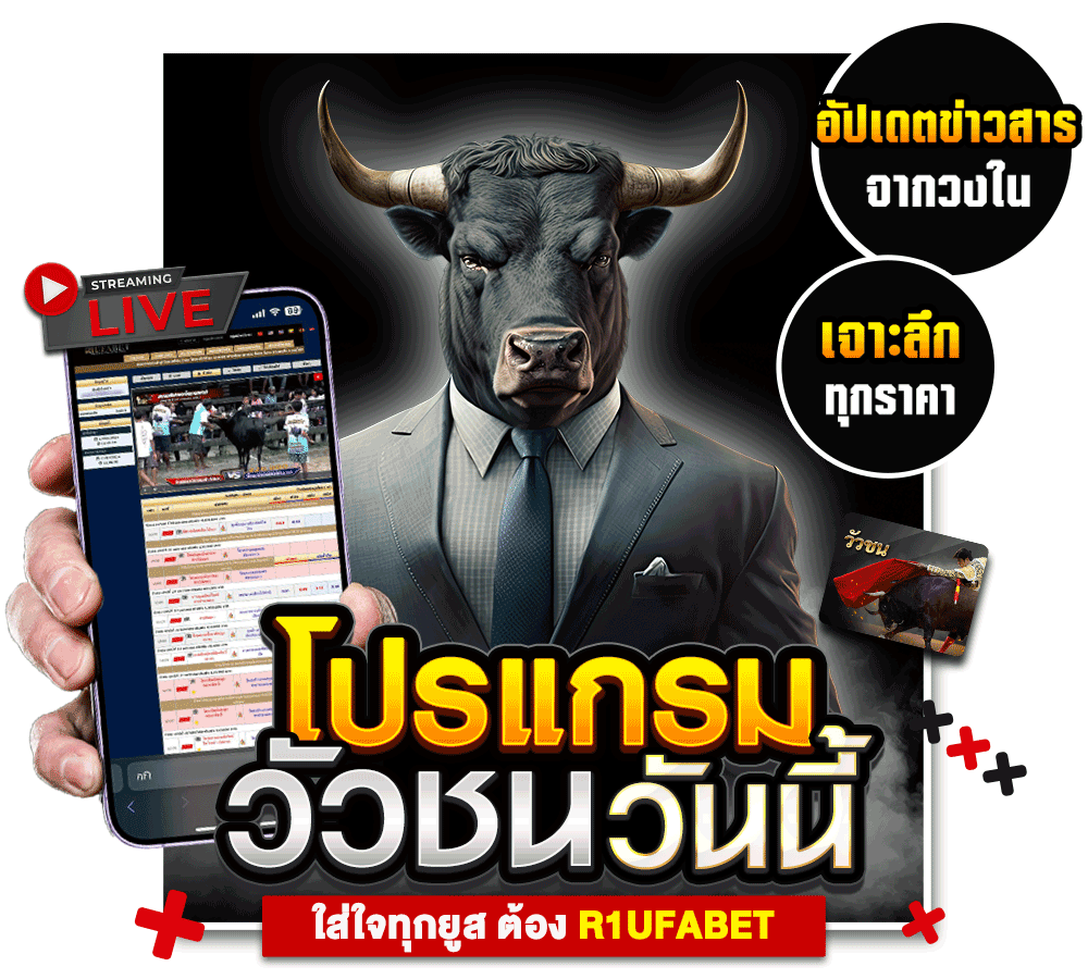 โปรแกรมวัวชน