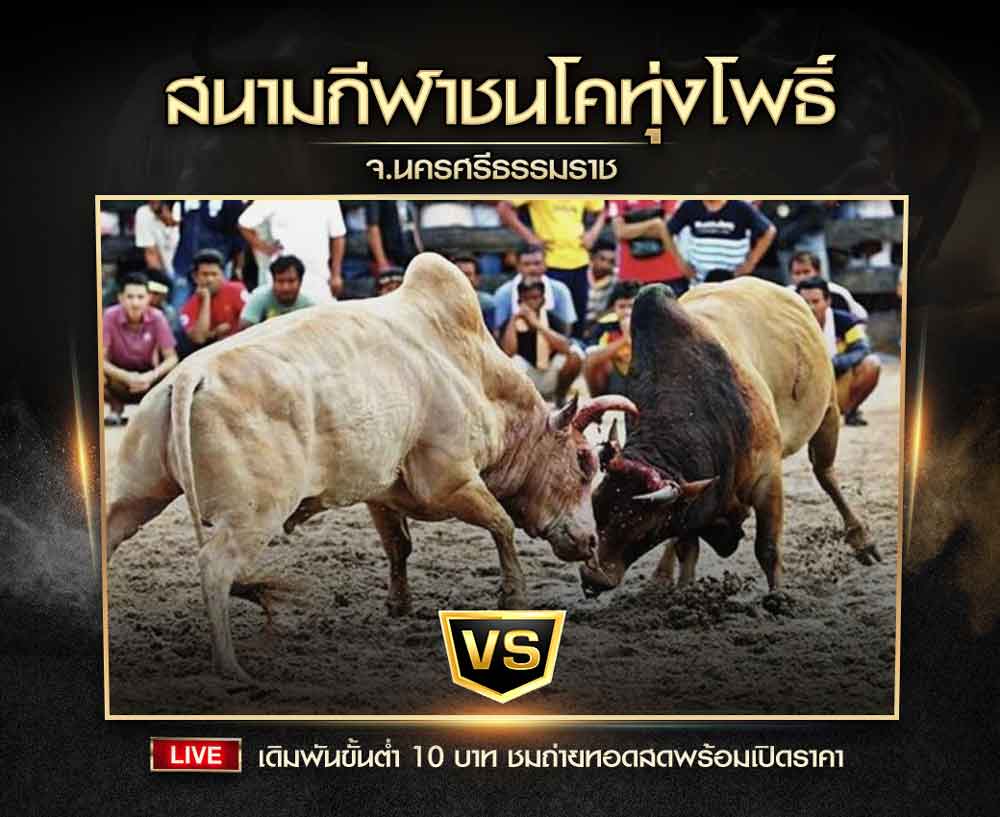 สนามกีฬาชนโคทุ่งโพธิ์