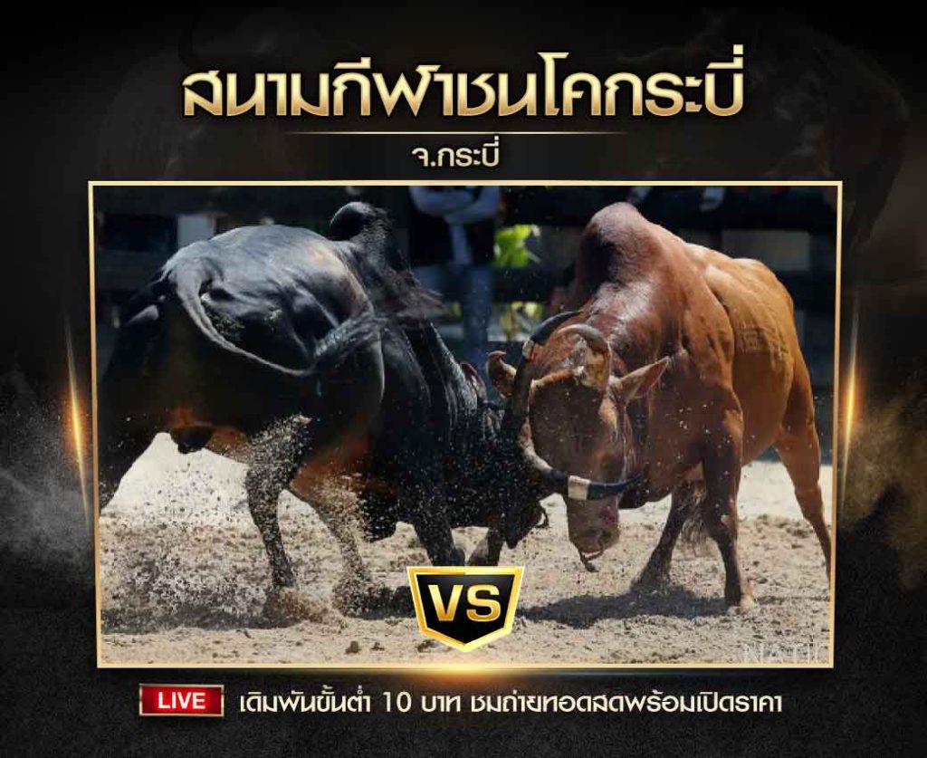 สนามกีฬาชนโคกระบี่