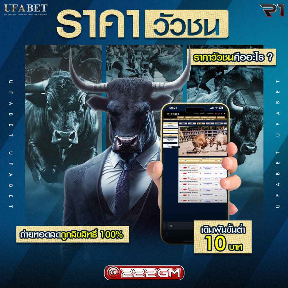 ราคาวัวชน