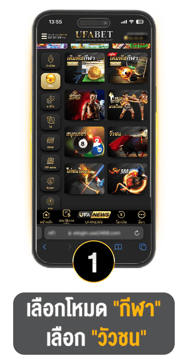 วิธีแทงวัวชน