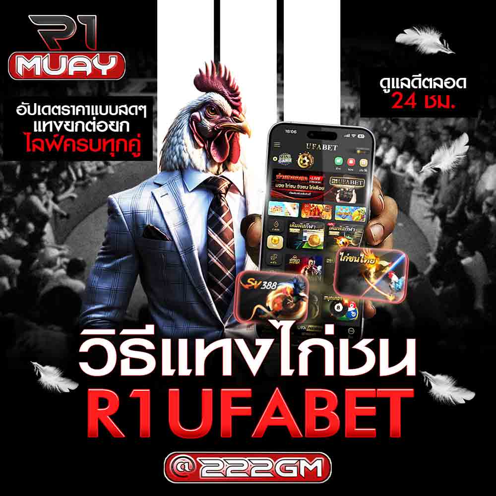 วิธีแทงไก่ชน